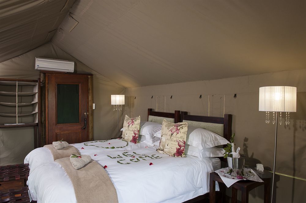Simbavati River Lodge Reserva Timbavati Exterior foto